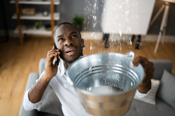 Best Flooded house restoration  in North Olmsted, OH