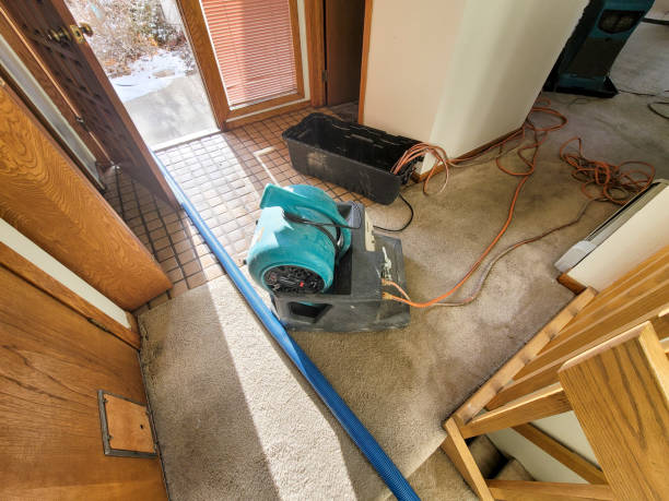 Best Water damage restoration near me  in North Olmsted, OH