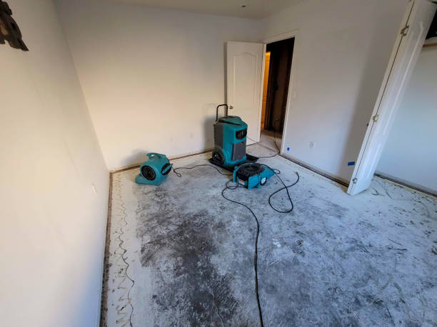 Best Flooded house restoration  in North Olmsted, OH
