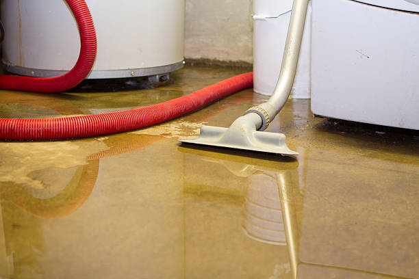 Best Water damage restoration services  in North Olmsted, OH