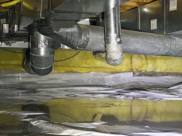 Best Mold removal after water damage  in North Olmsted, OH